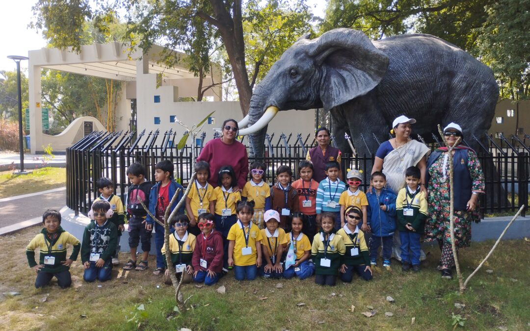 Pre-Primary English Medium Activity, Project celebration &   Programs.